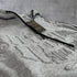 "Embossed " Pouch Hoodie - Smoke